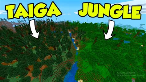 mega taiga seed|mega taiga jungle seed.